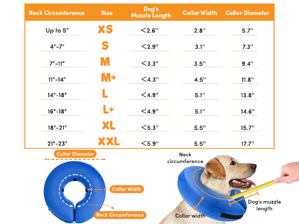 dog cone