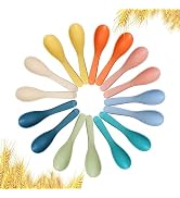 HMDZMR 16 Pcs Wheat Straw Spoon set Unbreakable Soup Spoons 6 Inches Ramen Spoons Portable Small ...