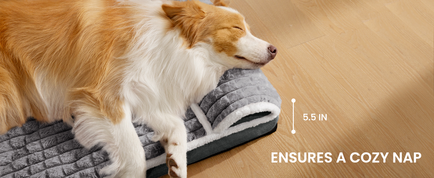 dog bed large sized dog