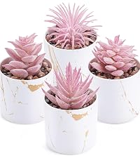 https://m.media-amazon.com/images/S/aplus-media-library-service-media/34d7f6d9-d9e9-4866-86b0-ae060b292d90.__CR0,0,800,900_PT0_SX200_V1___.jpg