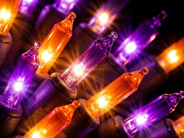 orange purple string lights