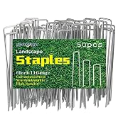 50pcs