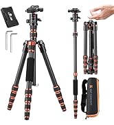 K&F Concept 60 inch Carbon Fiber Camera Tripod,Super Lightweight Compact Travel Tripod with 360 D...