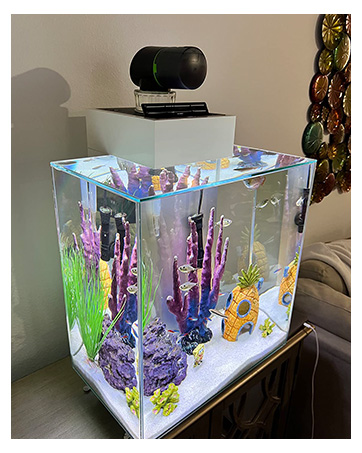 betta automatic feeder