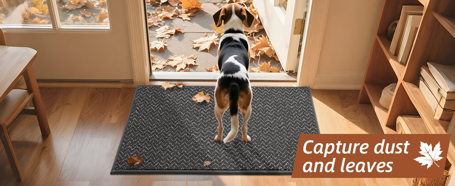 dirt trapper entry mat