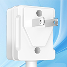 Standard 2 Prong Plug