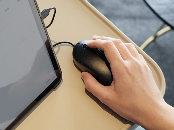 Plug & Play