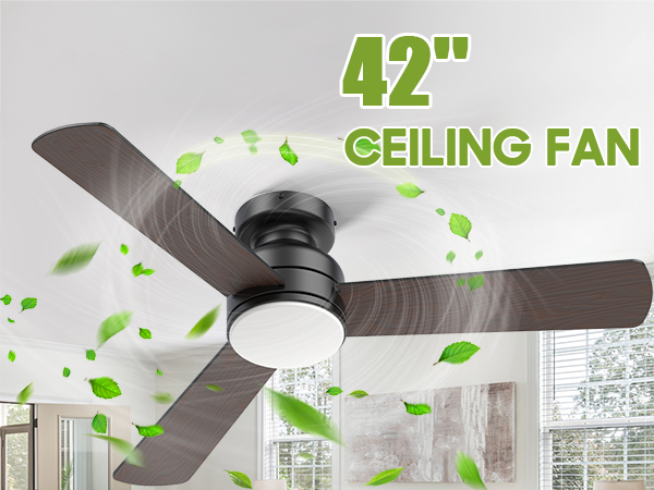 Ceiling Fans with Lights