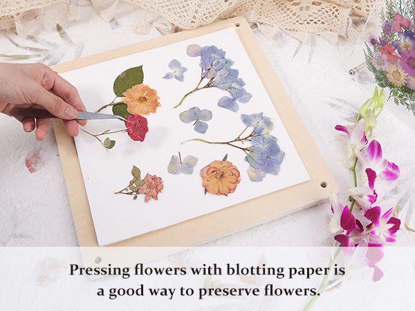 Blotting Paper
