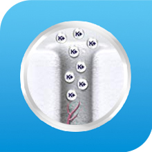 Sensodyne Fresh Mint