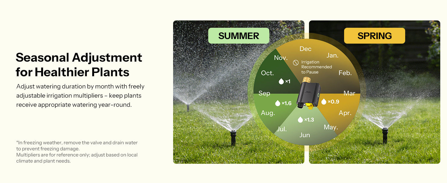 Seasonal Adjustment for Healthier Plants