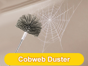 cobweb duster
