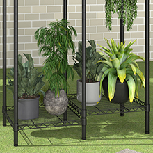 plant shelf indoor