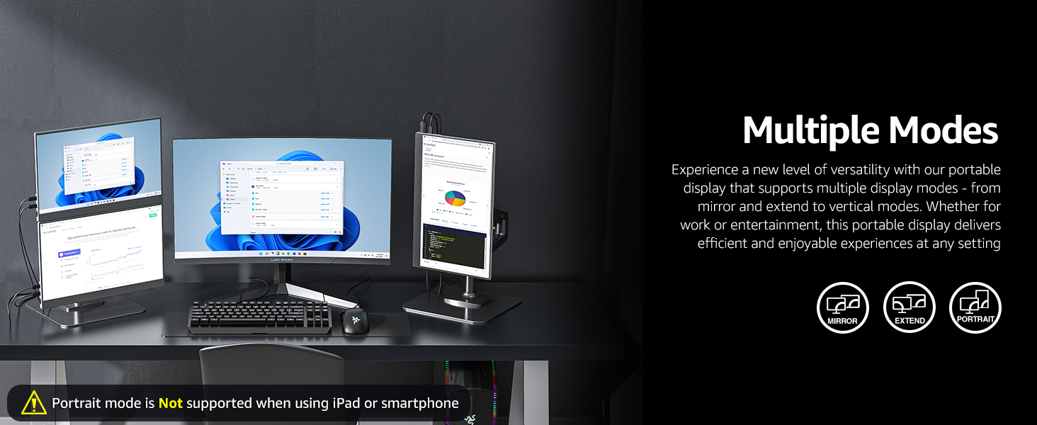 monitor portable