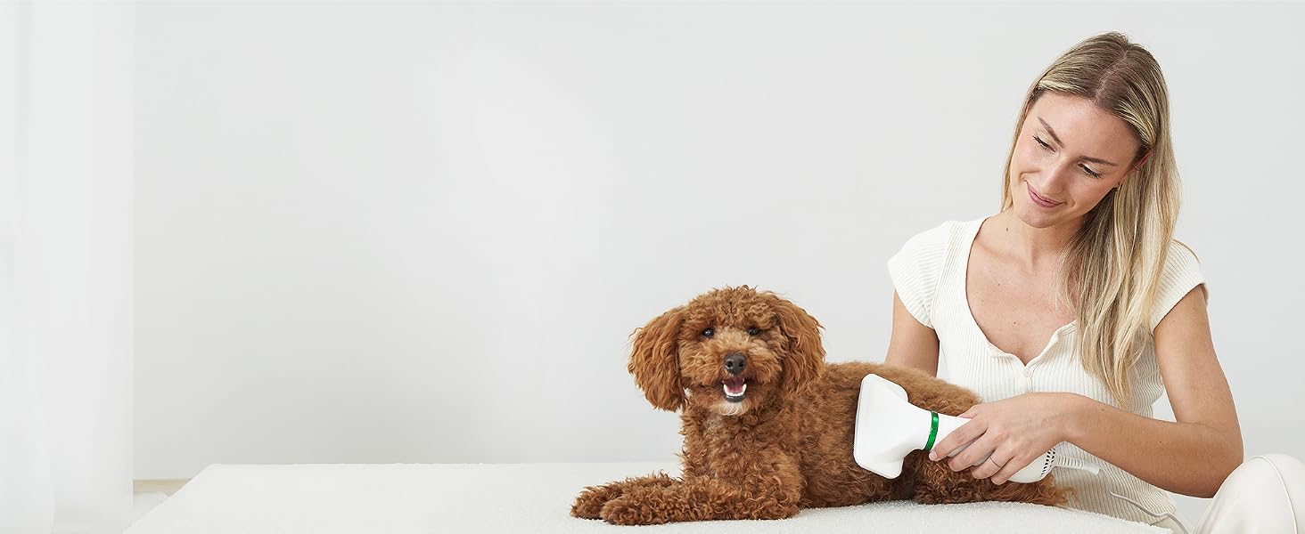 Dog Hair Dryer