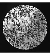 Snowkingdom Silver Disposable Placemats Set of 12 Foil Mesh 13 Inch Round Pressed Table Mates 12 ...