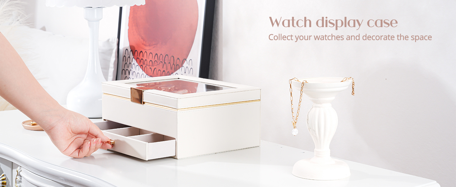 Watch Box