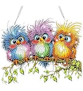 Bowetile Birds Diamond Art Hanging Kits for Adults Kids, 5D Special Shape Diamond Painting Window...