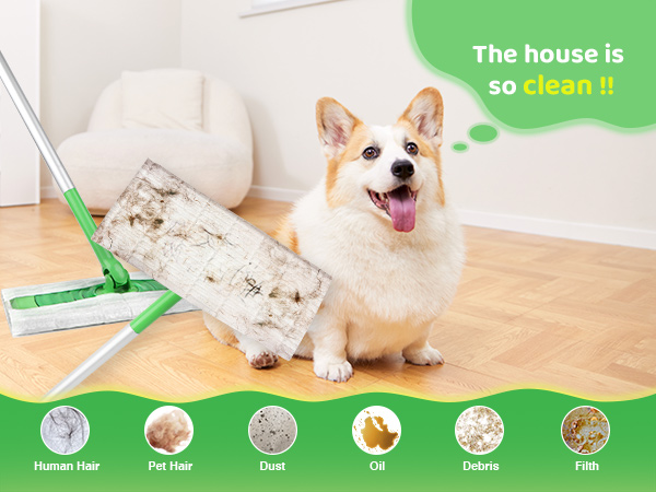 Dry Sweeping Cloths