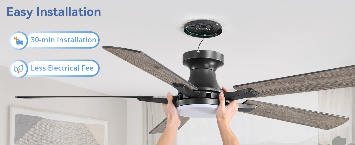 ceiling fan