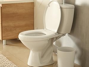 pumice stone for toilet
