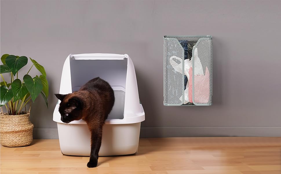 Cat Room scene