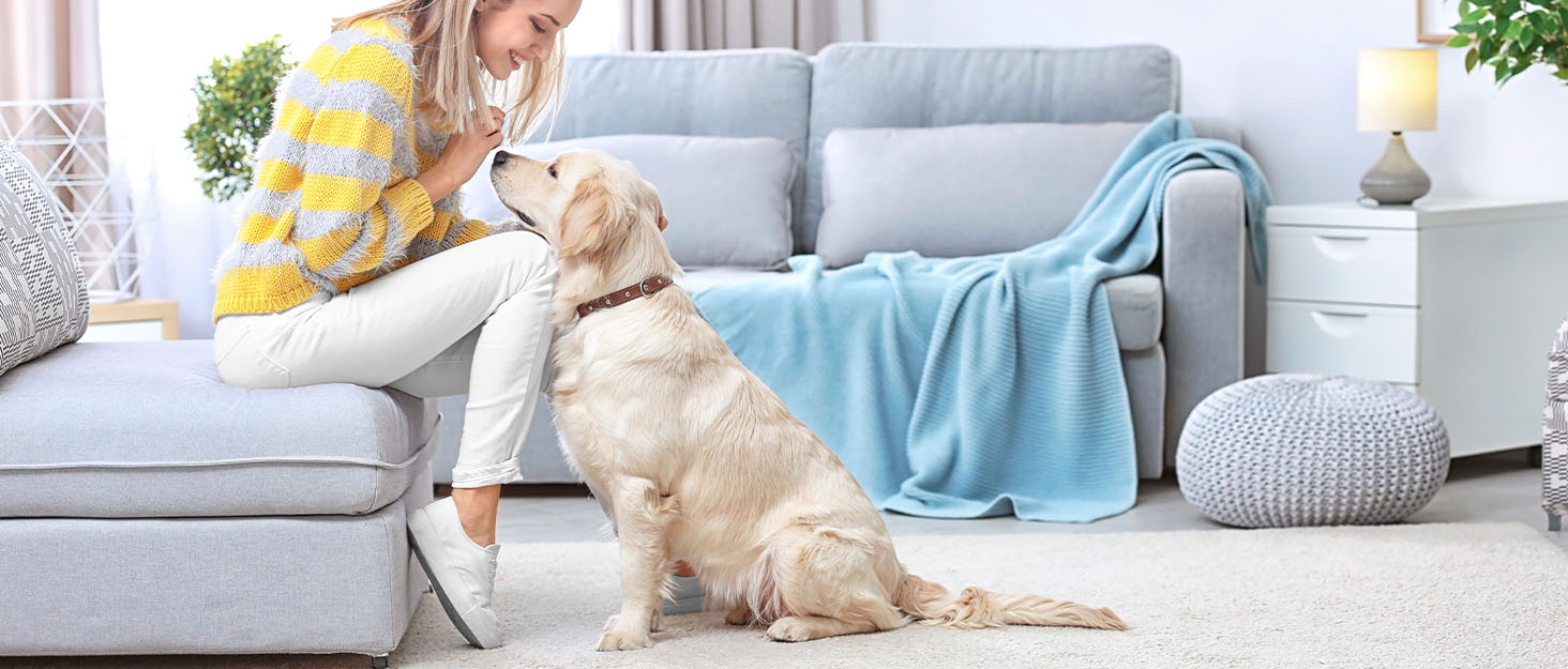 Lick mat for dogs