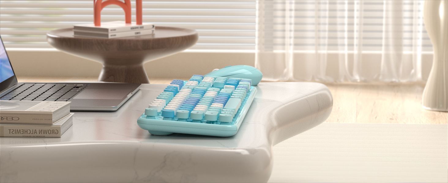 COMPUTER KEYBOARD AND MOUSE