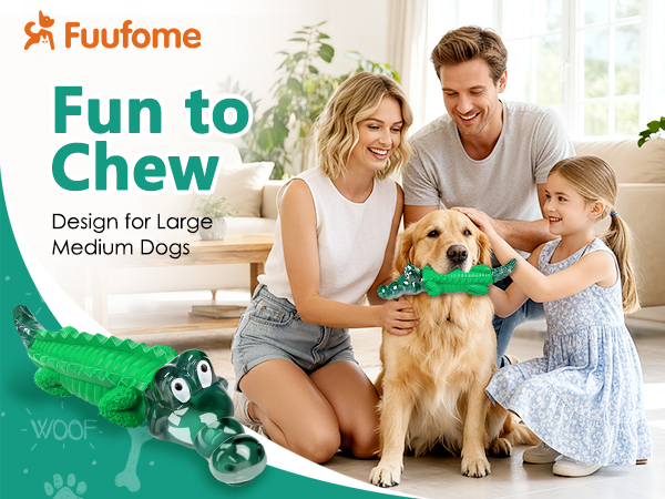 dog toy