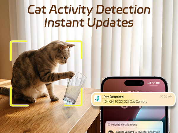 Motion Detection