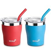 Mollcity Kids Tumbler with Straw-2 Pack Smoothie Tumbler Stainless Steel Double Wall Vacuum Insul...