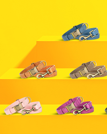 Didog leather dog collar