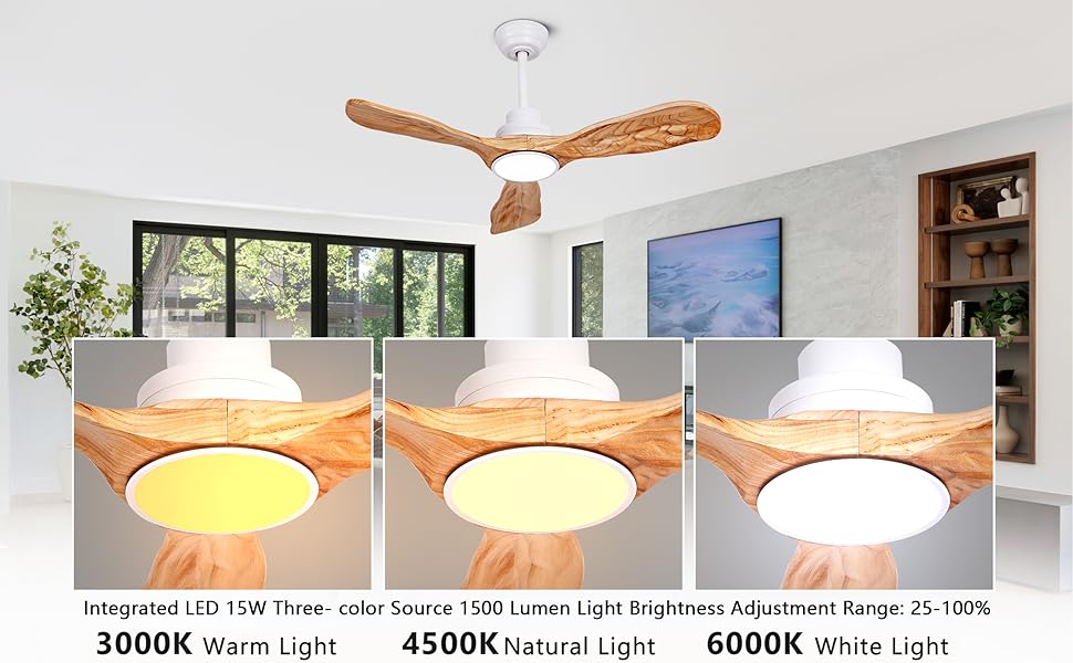 ceiling fan