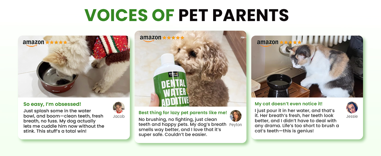 dog mouthwash