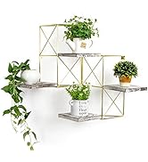 J JACKCUBE DESIGN Wall Mounted Floating Shelves, Set of 2 Gold Frame and Rustic Wooden Planter Di...