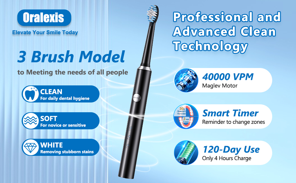 3 brush models meet all people
