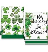 VISSTREE St Patricks Day Kitchen Towels, St. Patrick's Day Dish Towels Set of 2, Green Lucky Sham...