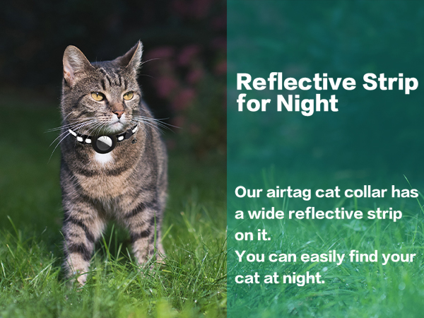 cat collar for boy cats
