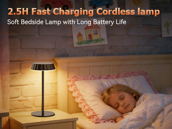 Fast Charging