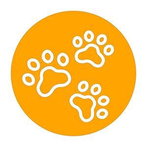 Arm & Hammer, Cats, Health, Chew, Kitten, Fresh, Cat Litter
