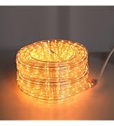 Vigdur LED Rope Lights Outdoor - 30ft Warm White Rope Lights Waterproof with Connectable Clear Pl...