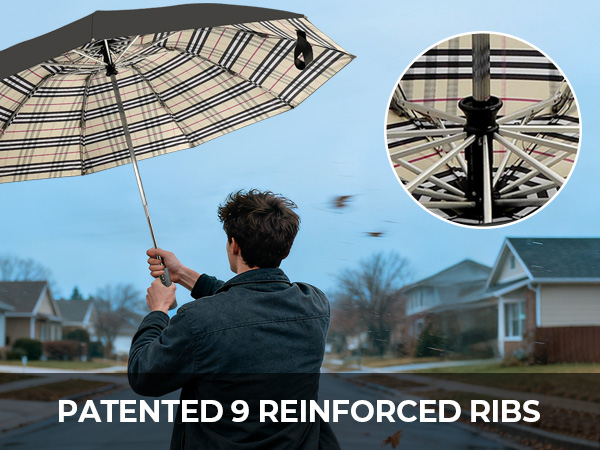 reversible umbrella