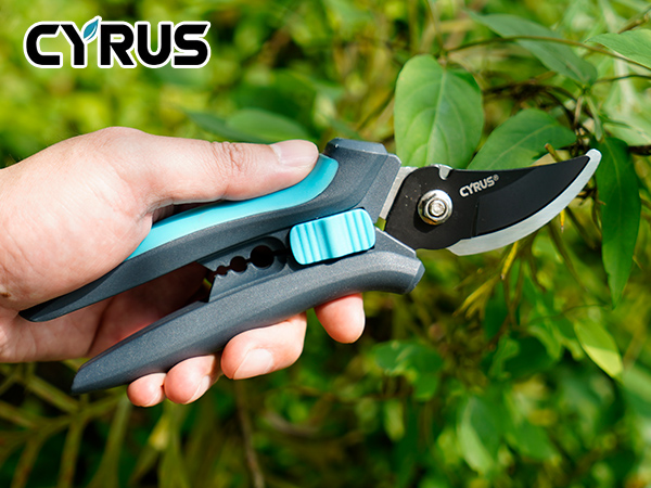 shears