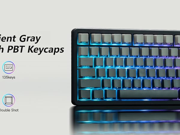 Gradient Gray Shine Through Keycaps: 135 keys, PBT, OEM profile, double shot, with RGB