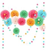 AOBKIAT Rainbow Birthday Decorations for Girls Women,15PCS Colorful Tissue Paper Pom Poms,Paper G...