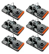 Rat traps