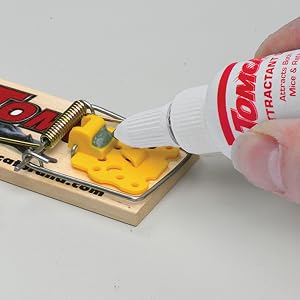 Tomcat Attractant Gel Placed on Trap