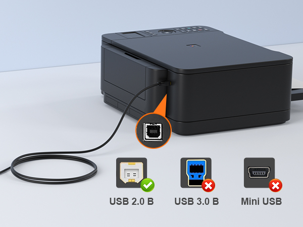 USB 2.0 B Port