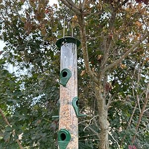 S Hooks Hanging Bird Feeders