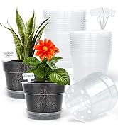 BTPLASTIK Clear Plastic Nursery Pots for Plants, 6 Inch Transparent Plant Pot with Drainage Holes...